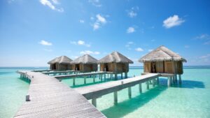 vacation
