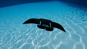 manta robot płaszczka